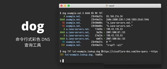 dog(命令行式彩色DNS查询工具)