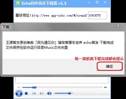 echo回声下载工具
