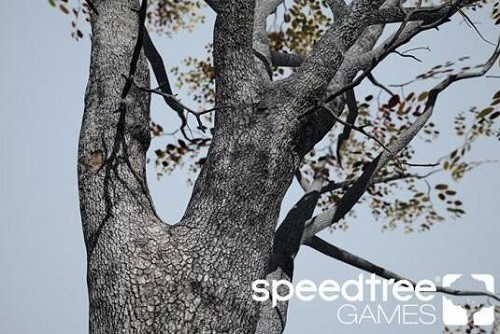 speedtree  Games  Indie