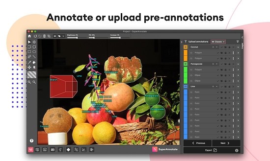 SuperAnnotate(AI图像注释工具)