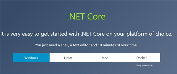 Microsoft  .NET  Core