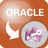 OracleToAccess(Oracle转Access工具)v3.5免费版