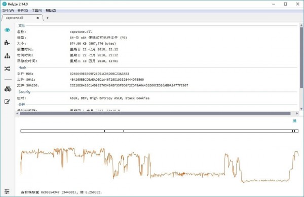 Relyze(二进制分析工具)