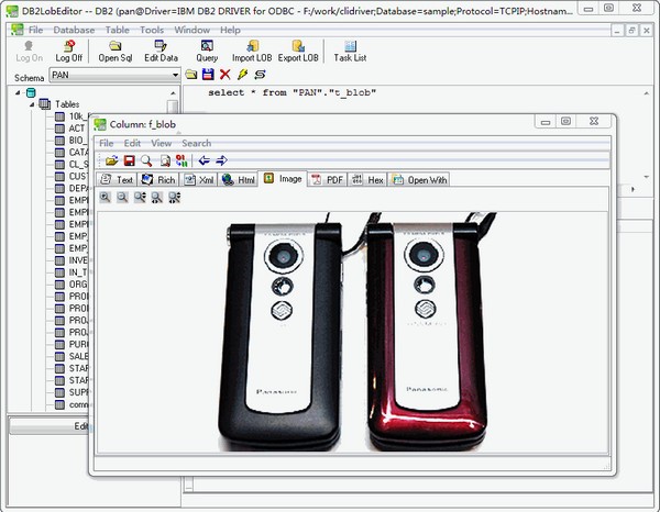 DB2LobEditor(db2数据库编辑工具)