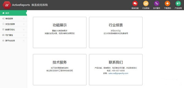 ActiveReports(报表开发工具)