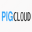 pig(权限管理系统)v3.0.0官方版