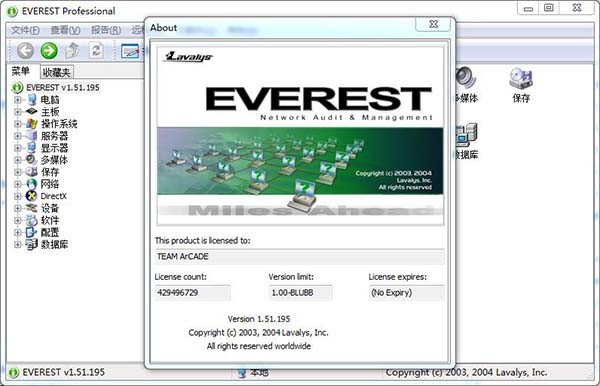 Everest  Professional(电脑硬件检测工具)