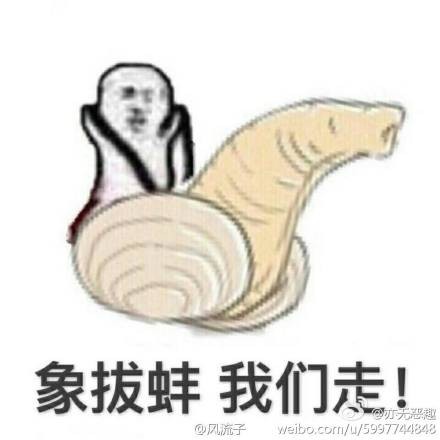 皮皮虾表情包下载