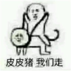 皮皮猪我们走表情包