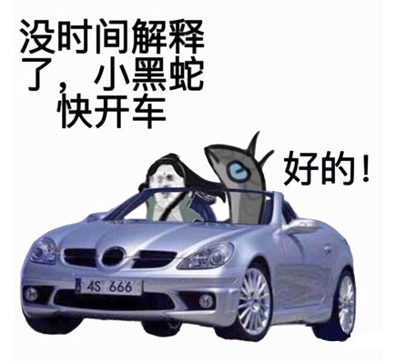 小黑蛇我们走表情包