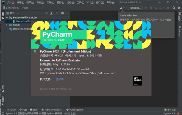 PyCharm  Professional  2021(Python编程软件)