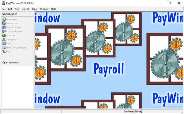 PayWindow  2022(薪酬管理软件)