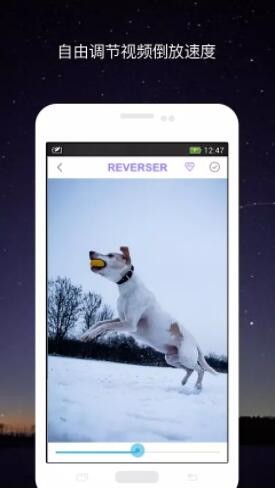 视频倒放app